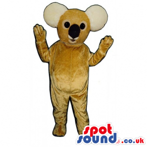 Customizable All Brown Koala Animal Mascot With Black Nose -