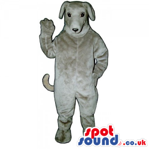 Plain Customizable Light Grey Dog Mascot With Space For Logos -