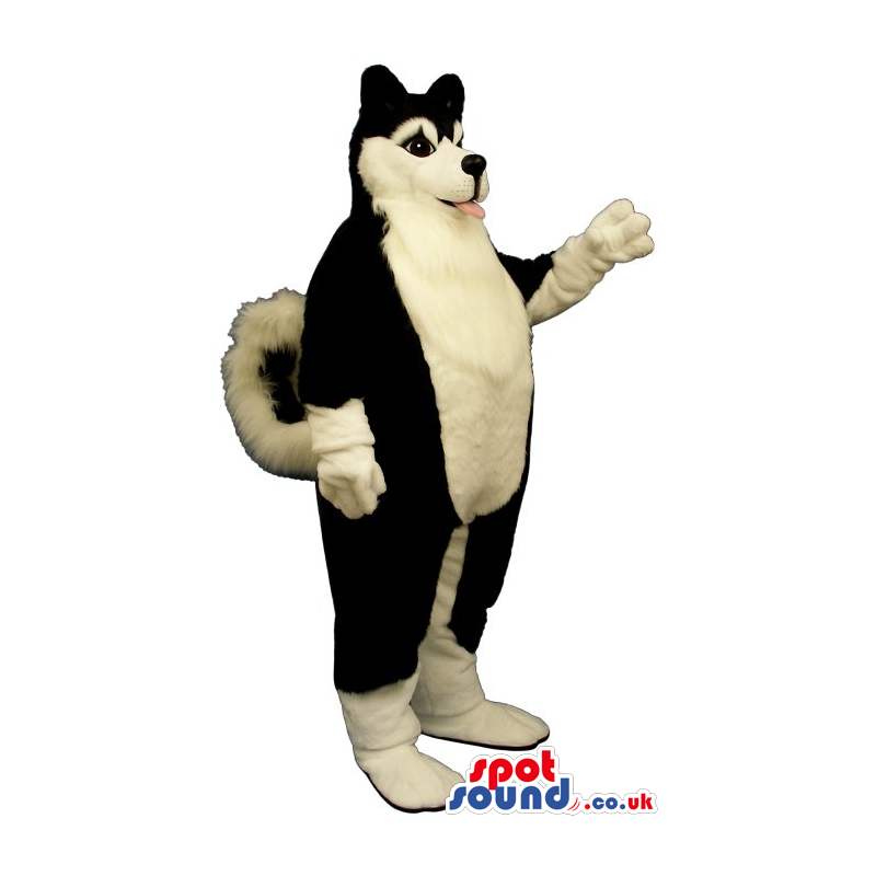 Customizable Black And White Husky Breed Dog Mascot - Custom