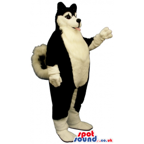 Customizable Black And White Husky Breed Dog Mascot - Custom