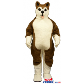 Customizable Brown And White Husky Breed Dog Mascot - Custom