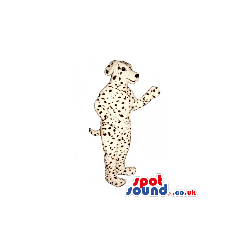 Customizable Dalmatian Breed Dog Pet Mascot With Dots - Custom