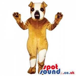 Customizable Brown Bulldog Mascot With White Spots - Custom