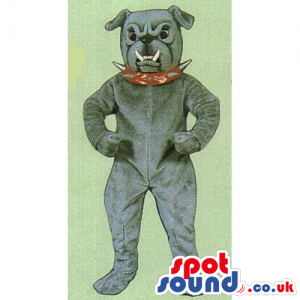 Customizable Grey Bulldog Mascot Wearing A Red Spiky Collar -