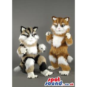 Two Percian cat mascot with mixed colours sitting and standing