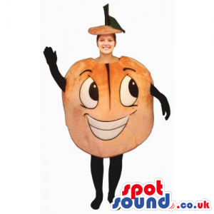 Original Customizable Funny Orange Mascot Or Adult Costume -