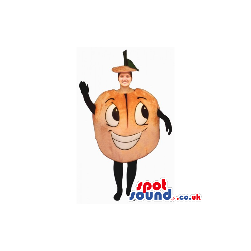 Original Customizable Funny Orange Mascot Or Adult Costume -