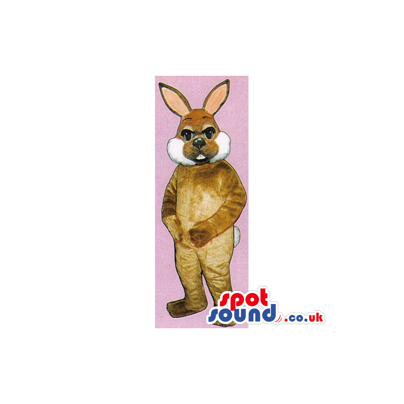 Customizable Brown Rabbit Mascot With White Soft Cheeks -