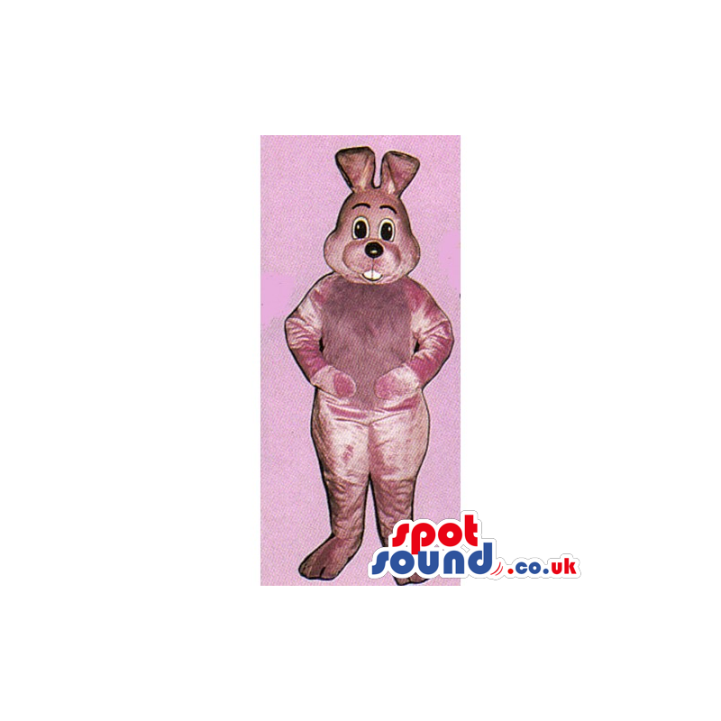 Plain Pink Rabbit Mascot With Bent Ears And Showing Teeth -