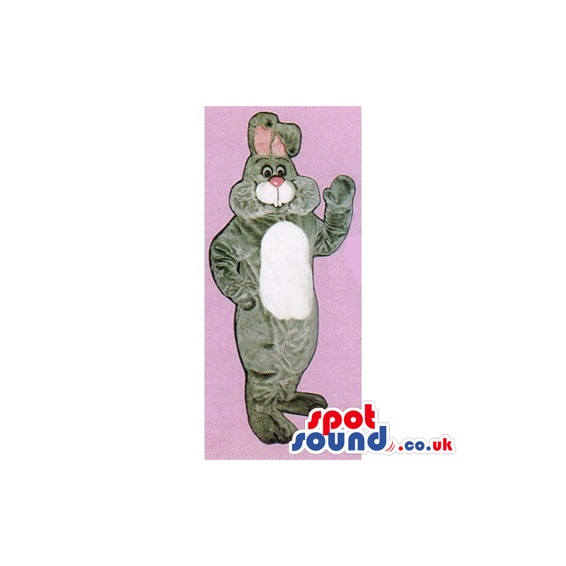 Grey Rabbit Mascot With A Pink Nose And A White Belly - Custom