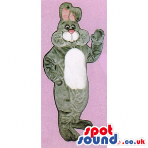 Grey Rabbit Mascot With A Pink Nose And A White Belly - Custom