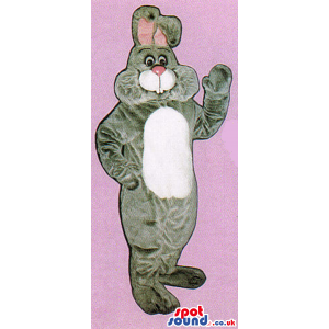 Grey Rabbit Mascot With A Pink Nose And A White Belly - Custom