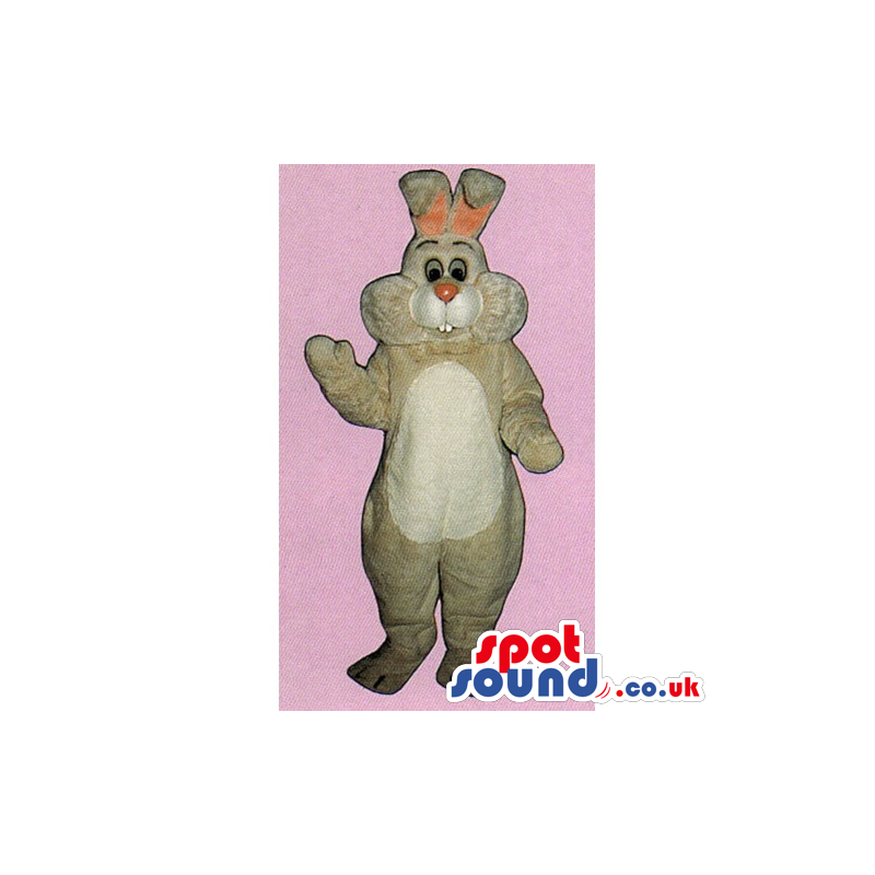 Plain Beige Rabbit Mascot With A Pink Nose And A White Belly -