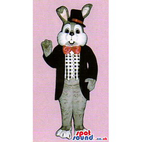 Customizable White And Grey Rabbit Mascot Wearing Elegant