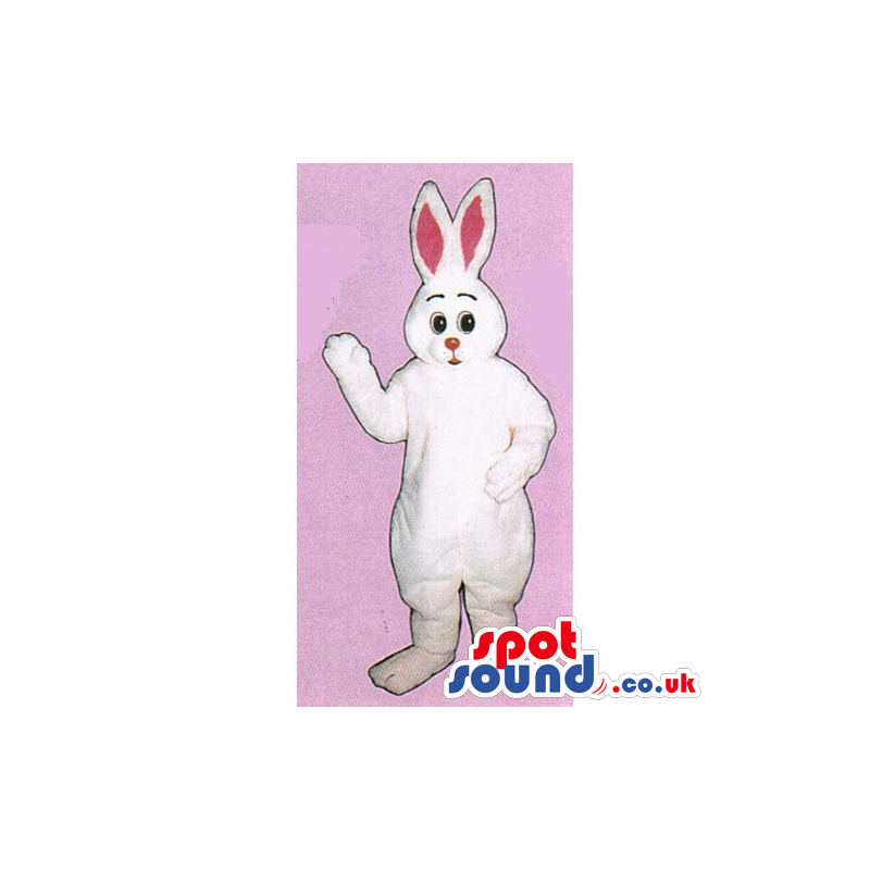 Customizable All White Rabbit Mascot With Small Pink Nose -