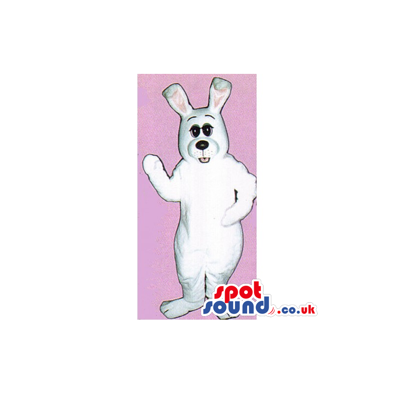 Customizable All White Rabbit Mascot With Big Black Eyes -