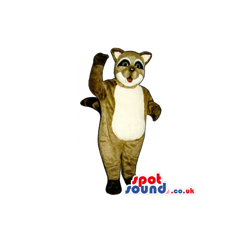 Customizable Brown Raccoon Animal Mascot With A White Belly -