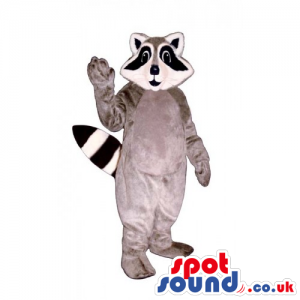 Customizable Grey Raccoon Animal Mascot With Long Black Eyes -