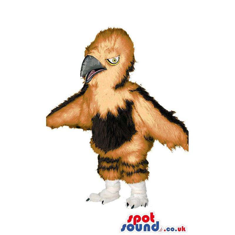 Eagle mascot with sharp look and pointed beak in brown and