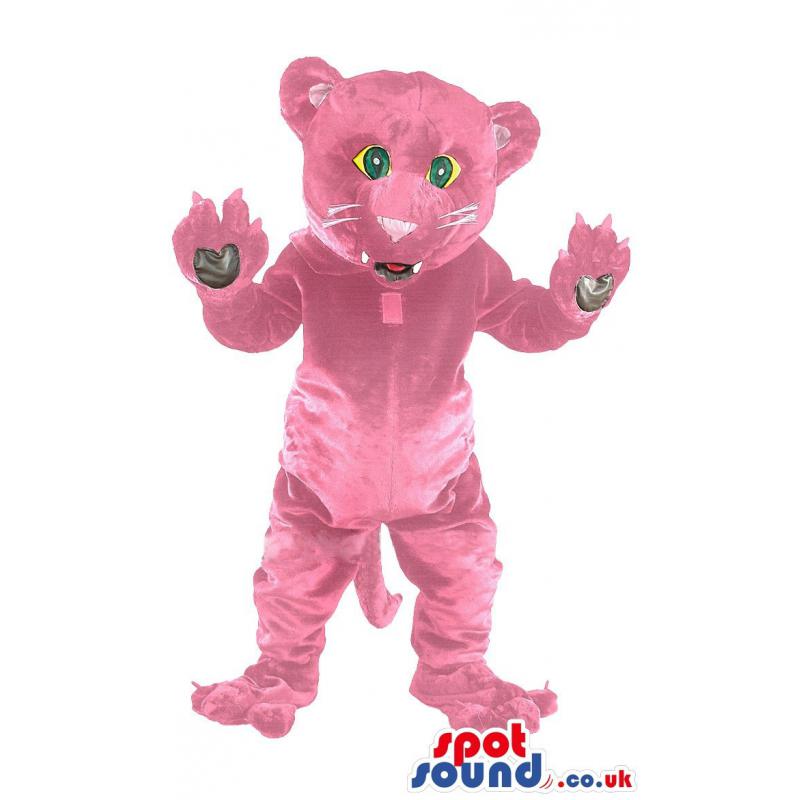 Pink cat mascot with blue eyes standing and showing his paws -
