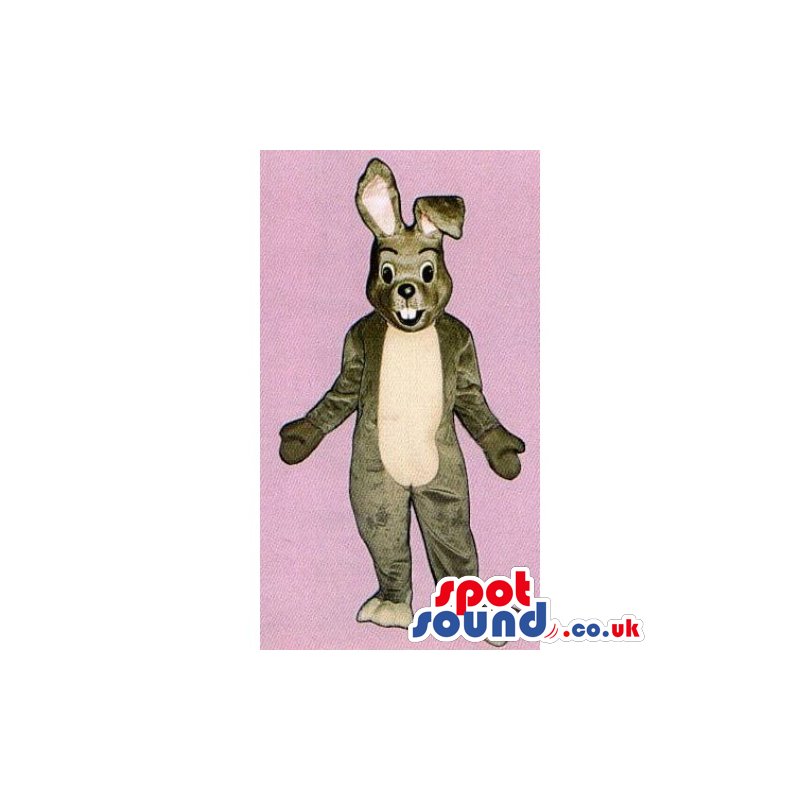 Customizable Plain Brown Rabbit Mascot With A Beige Belly -