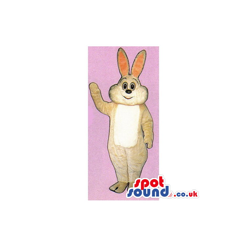 Customizable Beige Rabbit Mascot With A White Belly - Custom