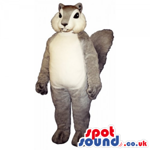 Customizable Grey Chipmunk Mascot With A White Belly And Face -