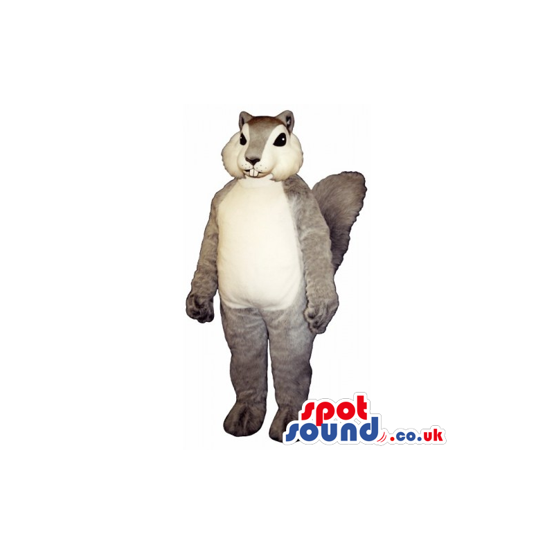 Customizable Grey Chipmunk Mascot With A White Belly And Face -