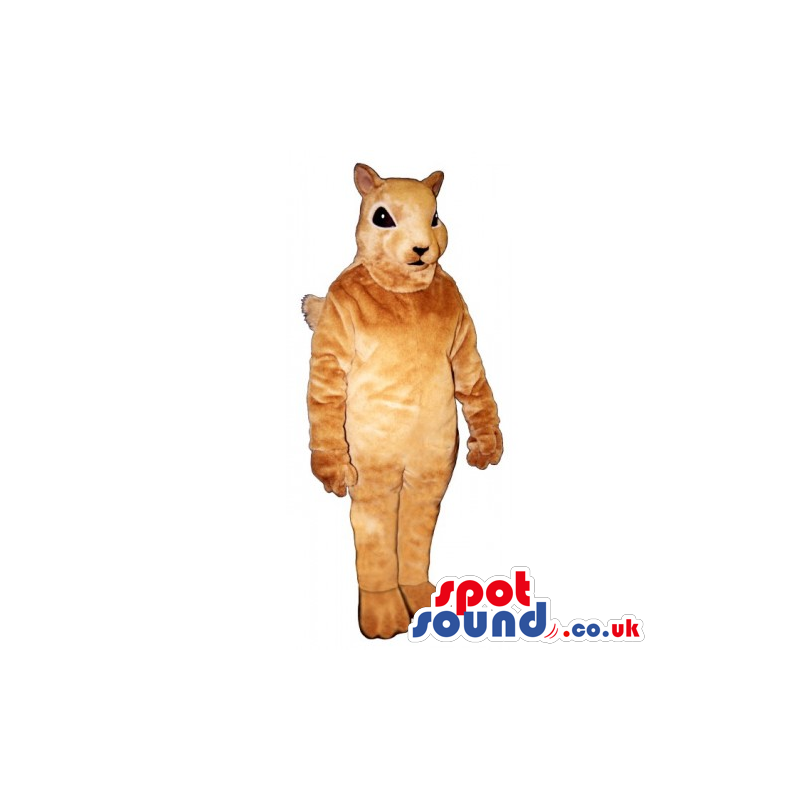 Customizable Cute Innocent All Brown Chipmunk Mascot - Custom