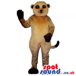 Customizable Cute Brown Ferret Animal Pet Mascot With Dark Paws
