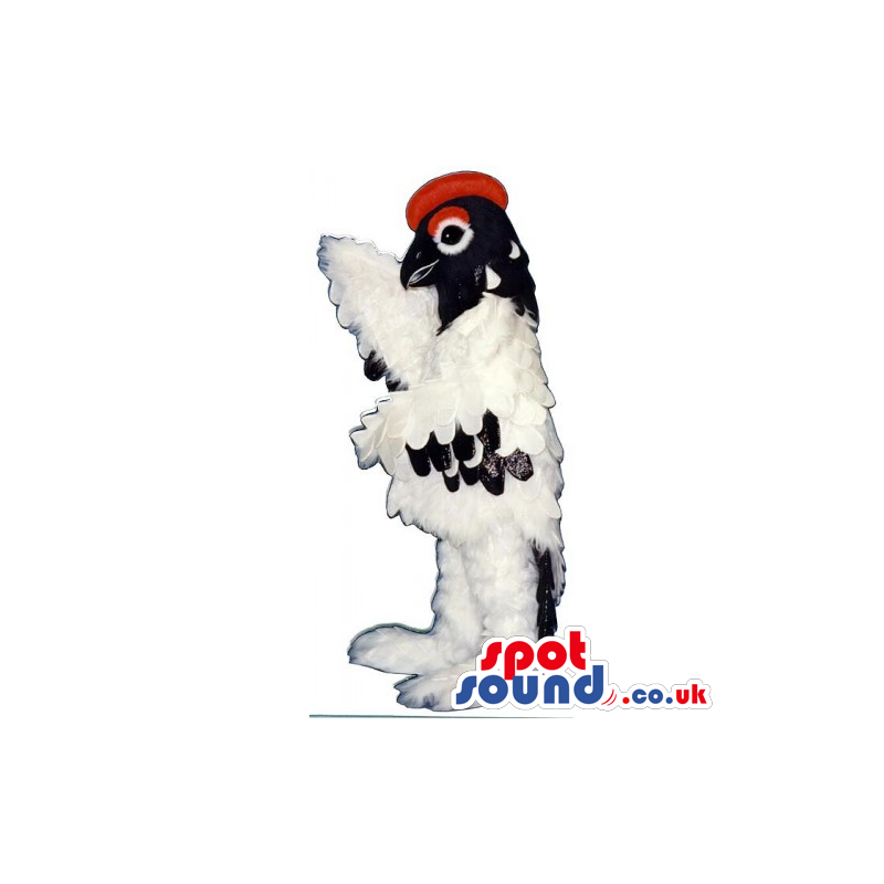 White And Black Bird Mascot With A Red Comb And Feathers -