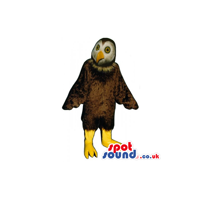 Dark Brown And White Owl Bird Mascot With Small Eyes - Custom