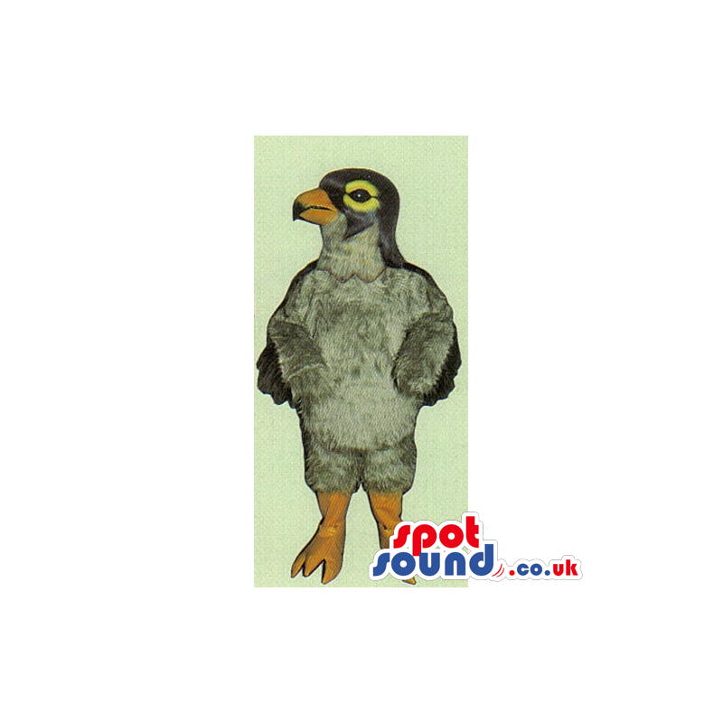 Customizable Original Grey Bird Mascot With Yellow Eyes -