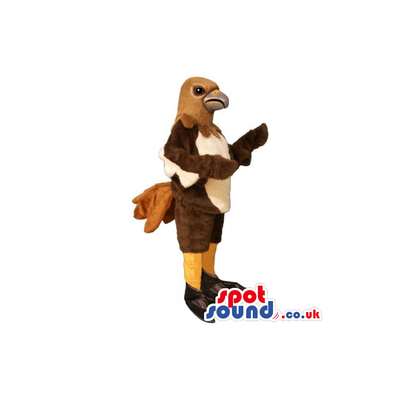 Customizable Original Brown And Beige Bird Mascot With Funny