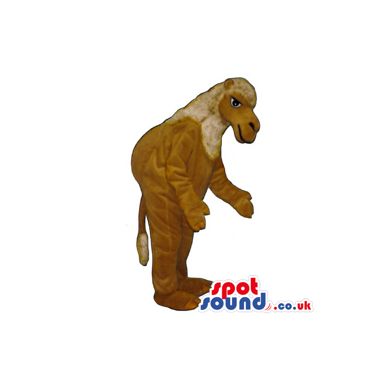 Brown Dromedary African Animal Mascot With A Hump On All-Fours