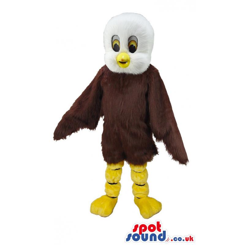 Brown bird mascot with sharp look and pointed beak in yellow -