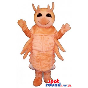 Customizable Plain Orange Plush Shrimp Or Lobster Mascot -
