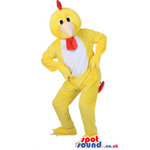 Customizable Funny Yellow Hen Mascot With A White Belly -