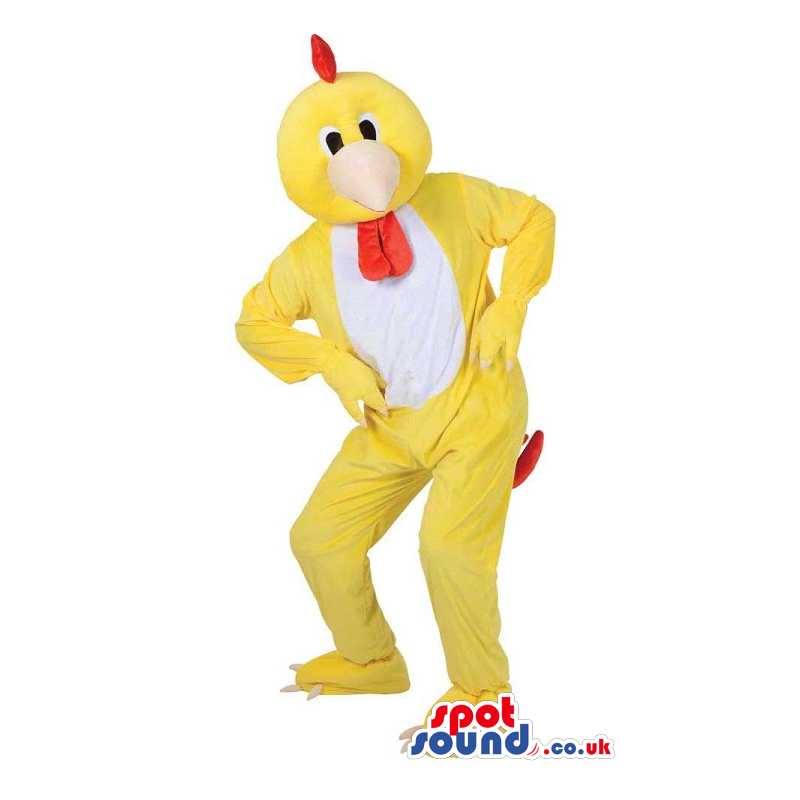 Customizable Funny Yellow Hen Mascot With A White Belly -