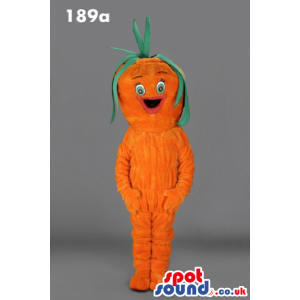 Customizable Plush Carrot Mascot With A Funny Face - Custom