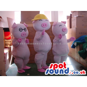 Three Pig Mascots With Different Sizes And Garments - Custom