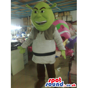 Shrek It Popular Green Ogre Movie Character Mascot - Custom