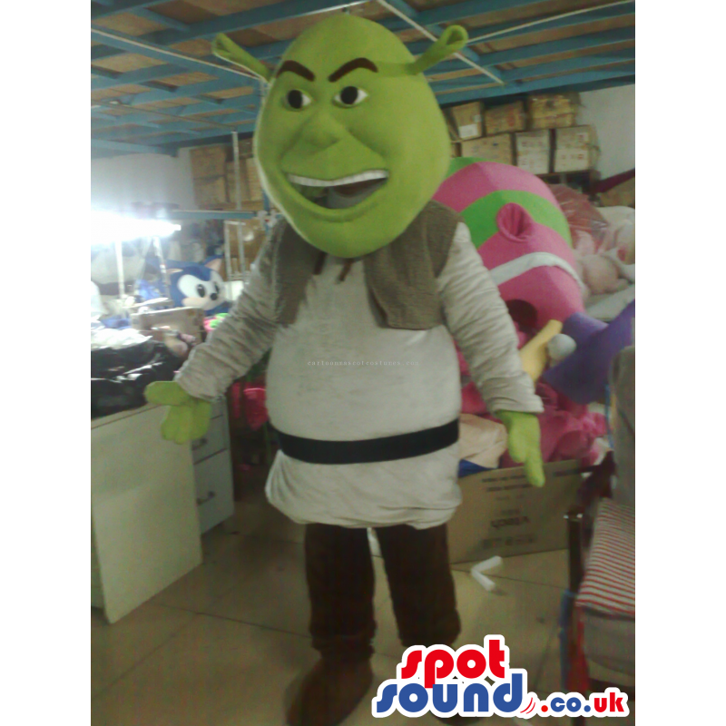 Shrek It Popular Green Ogre Movie Character Mascot - Custom