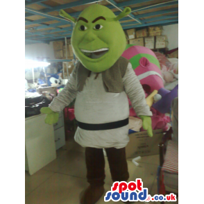 Shrek It Popular Green Ogre Movie Character Mascot - Custom
