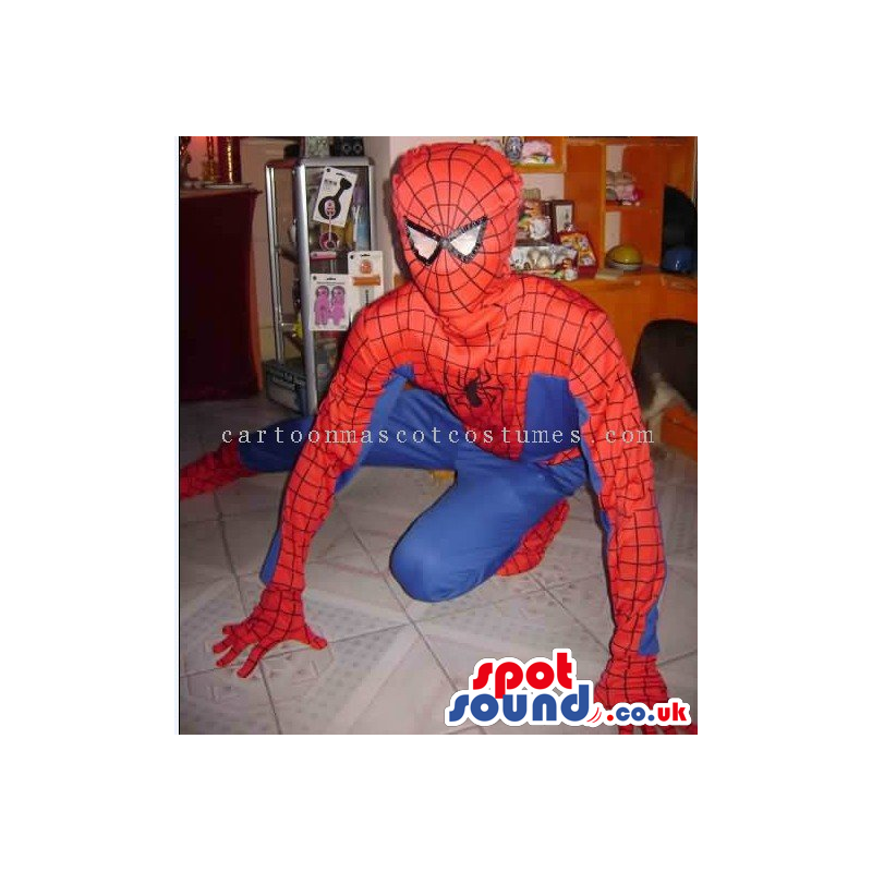 Spiderman Superhero Comic Cartoon Character Costume - Custom