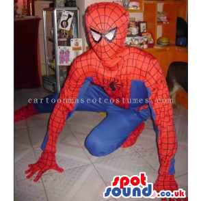 Spiderman Superhero Comic Cartoon Character Costume - Custom