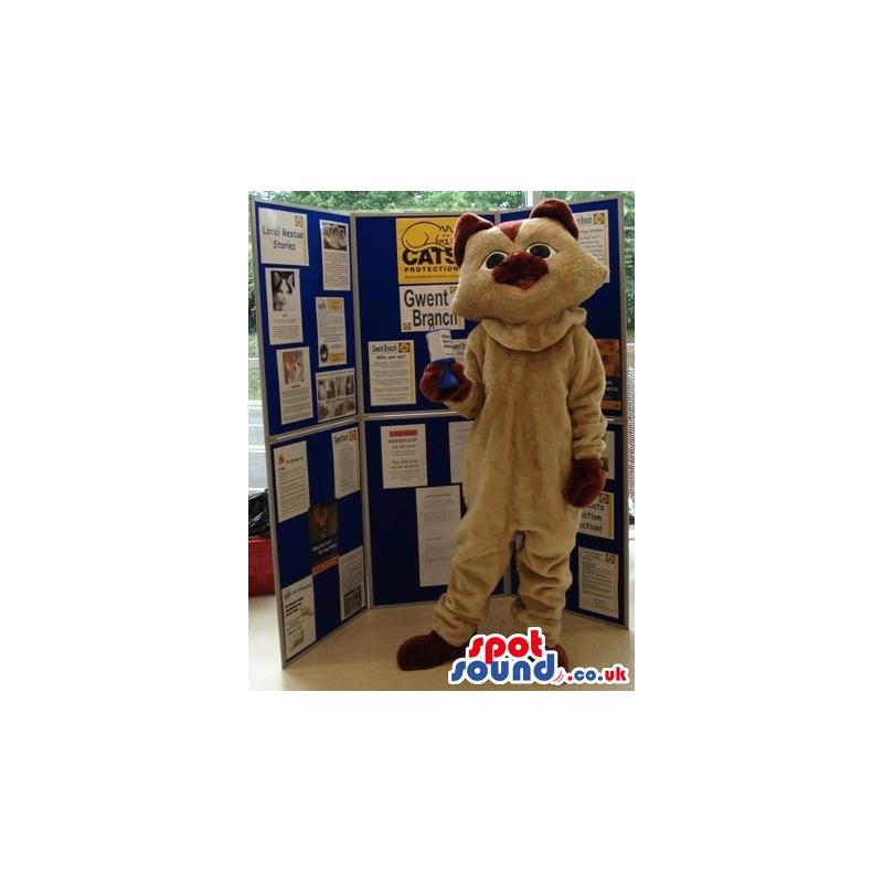 Brown cat mascot with black eyes standing and showing his paws