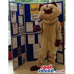 Brown cat mascot with black eyes standing and showing his paws