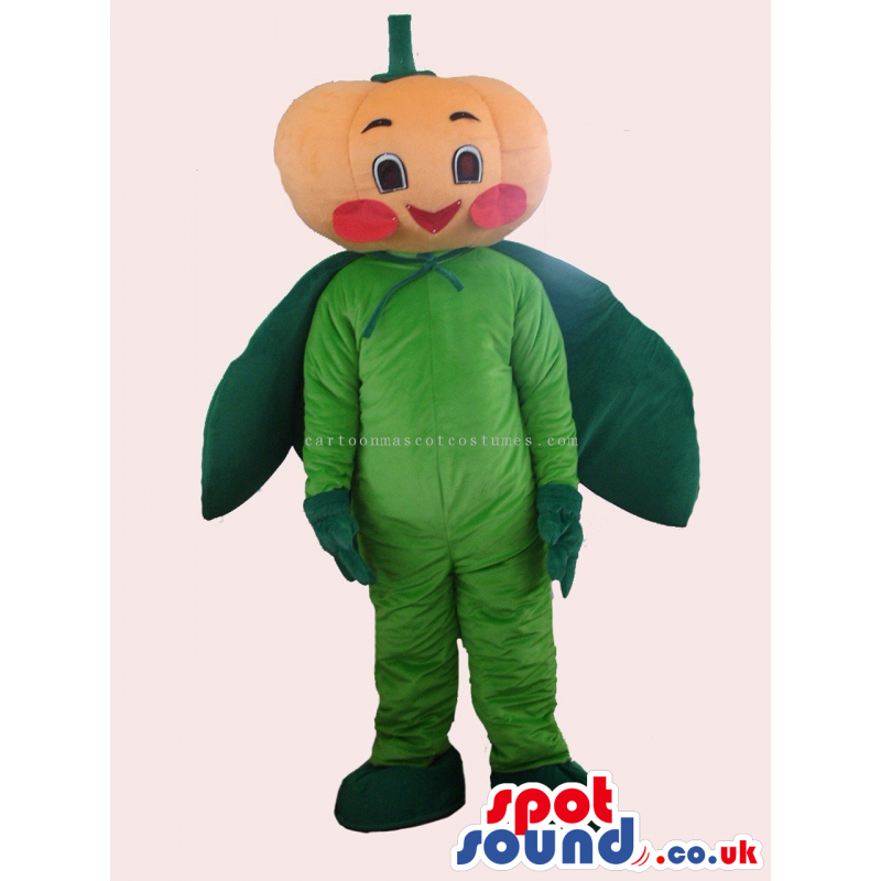 Customizable Sweet Pumpkin Vegetable Mascot With A Cute Face -