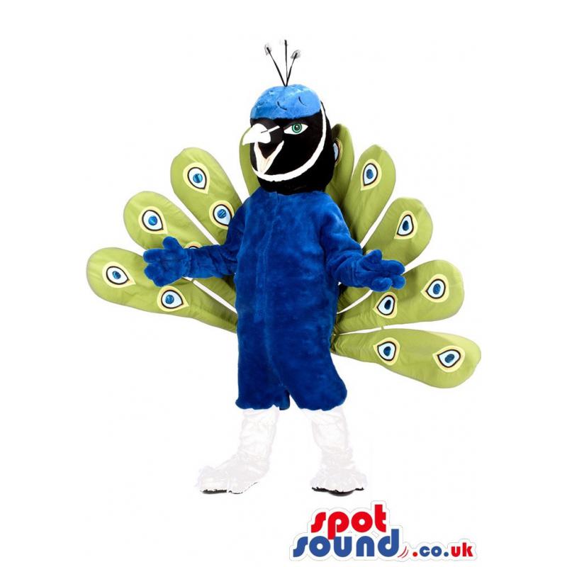 Peacock mascot with blue colour and green colour feathers -